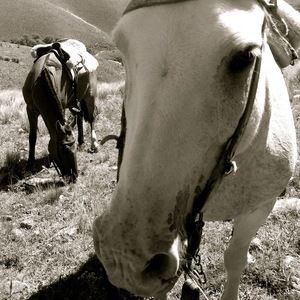 Meet your Posher, Taryn